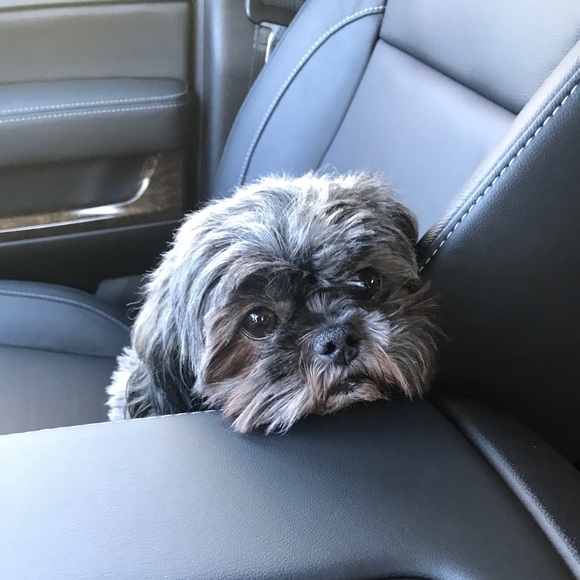 Meet your Posher, Michele - Picture 1 of 1